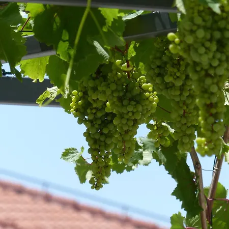 Marija *